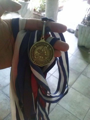 Medalla de Oro Química
