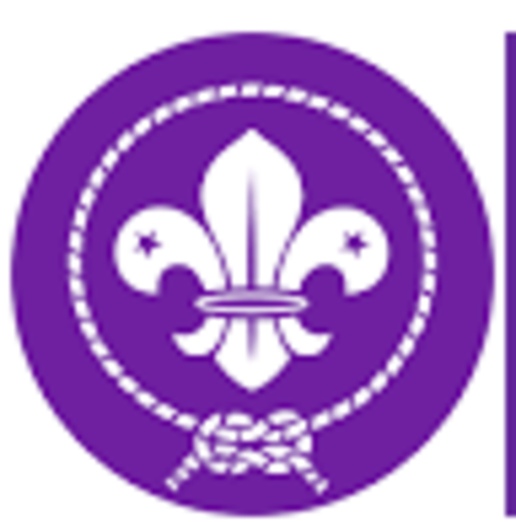 Ingreso a los scouts