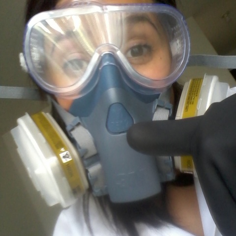 Primer año en Ingeniería URL