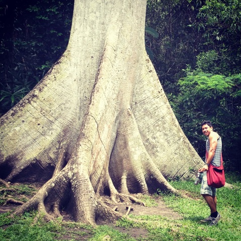 Viaje de promocion a Tikal