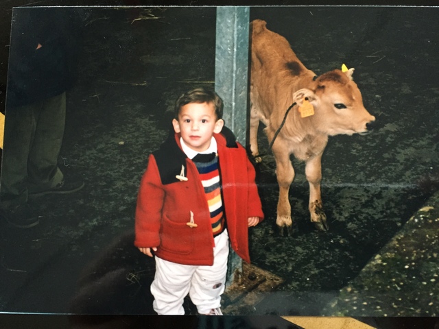 Conociendo el reino animal.