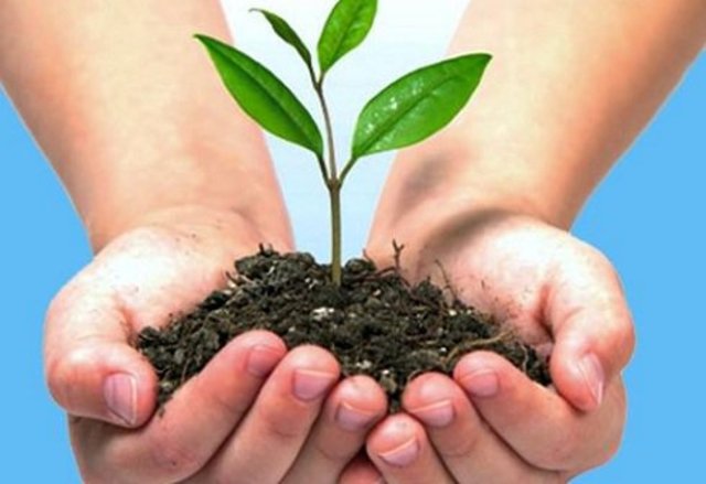 Proteccion y control del aire