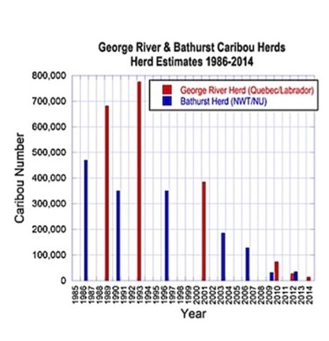 Decreased to 385,000