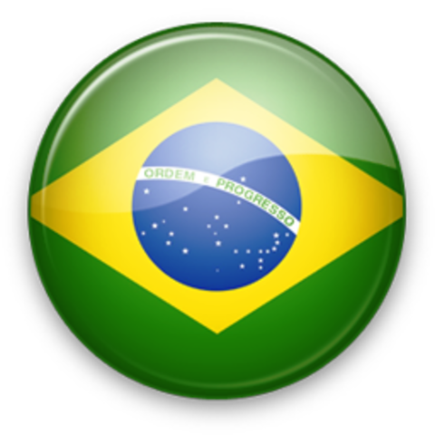 Campeonato Suadamericano 1919