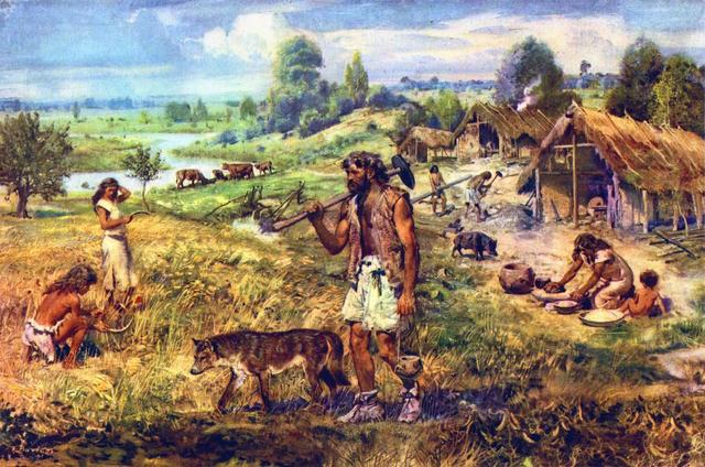 Neolithic/Agricultural Revolutions