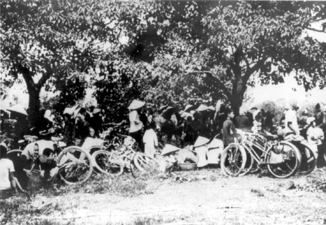 Operation Cedar Falls