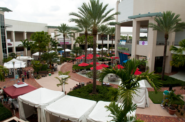 Using the Land in the CBD