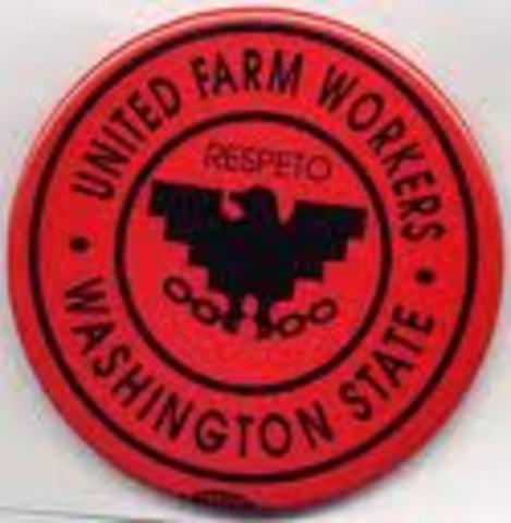 (3) United Farm Workers grape growers sign first union contract