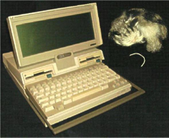 se crea la primera computadora