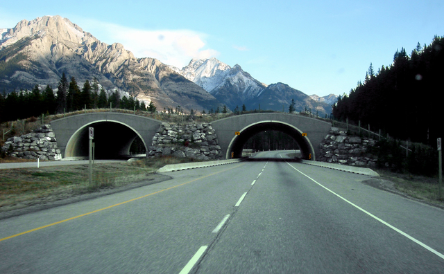 Trans Canada HighWay
