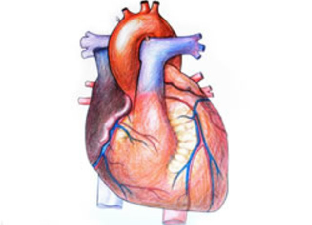 First Human Heart Transplant