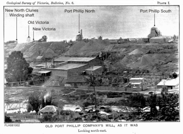 The gold rush begins