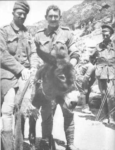 Stretcher bearer John Simpson Kirkpatrick died at Gallipoli but his fame of ' Simpson and his Donkey' lives on.