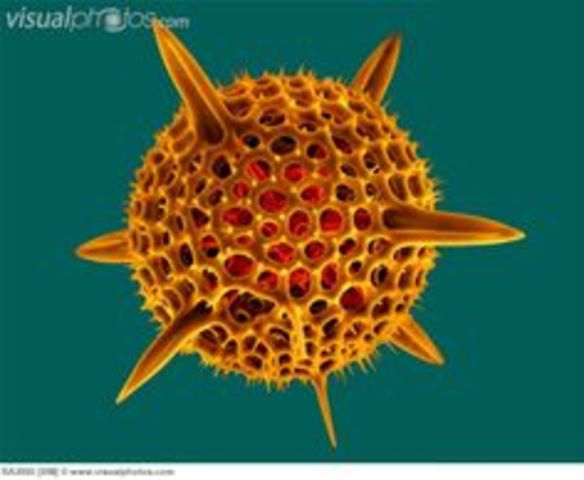 March 3 = 3,500 million years ago