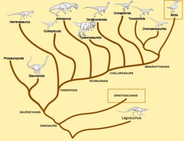 December 10 = 231 million years ago