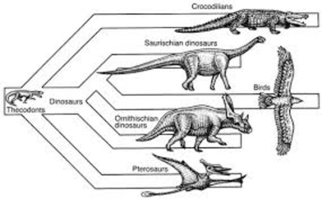 First Dinosaures Evole