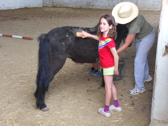 The fist day of my live went I go with a poni. When i have 7 years