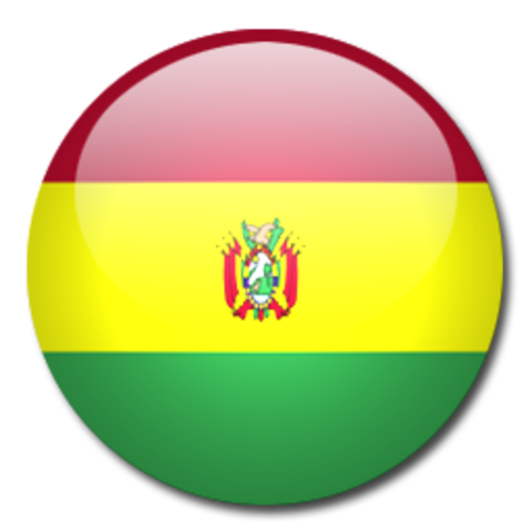 Campeonato Sudamericano 1963