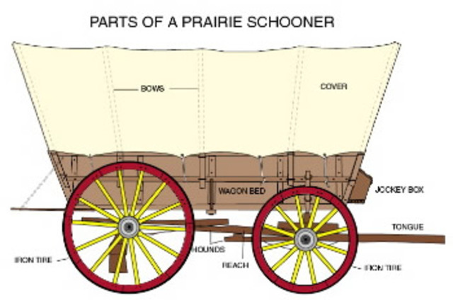 The Wagon "Prairie Schooner"