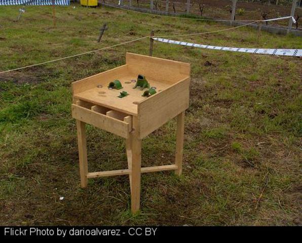 Celebración do Día das Letras Galegas na súa honra