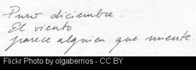 Publicación Poemas 1981/1982