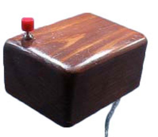 Douglas Engelbart - First Computer mouse