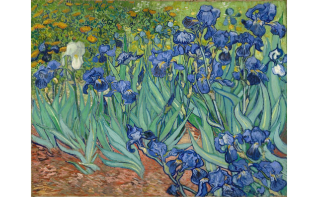 Irises by van Gogh