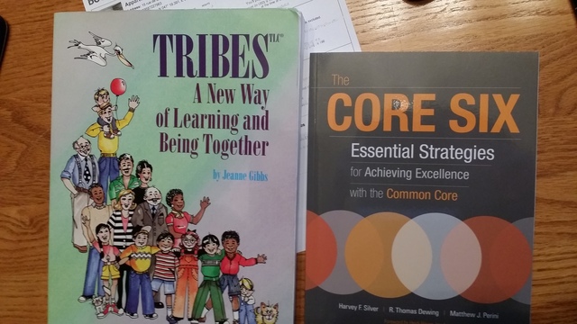 Professional Learning Team