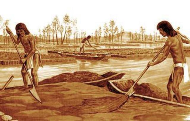 Edad de la piedra nueva