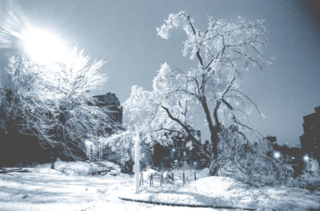 Ice Storm