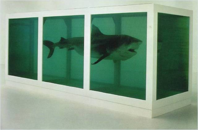 Damien Hirst, The physical Impossibility of Death in the Mind of Someone Living,