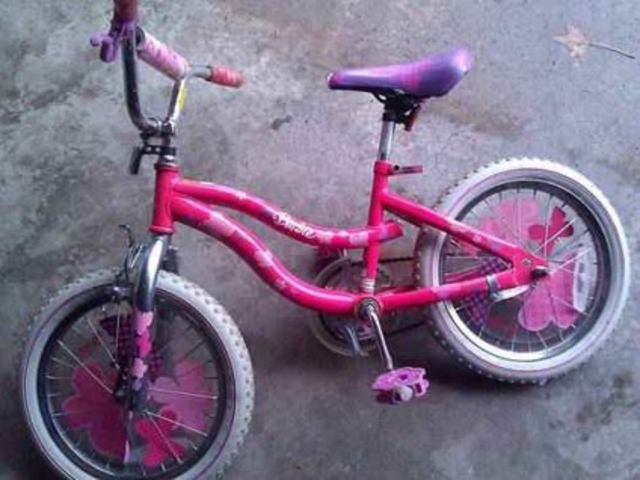 Learned How to Ride a Bike