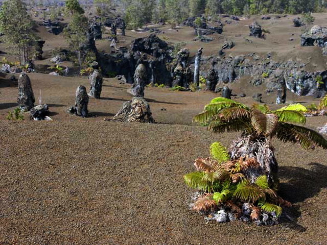 la anexión de hawái a los Estados Unidos.