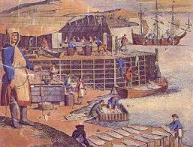 Shutdown of Newfoundland's Cod Fishery