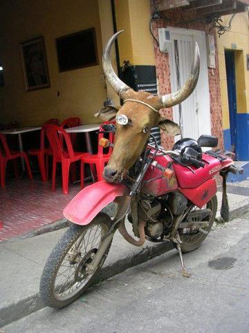 La primera motocicleta