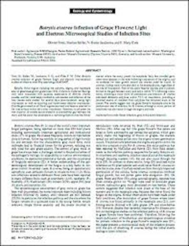 los articulos cientificos