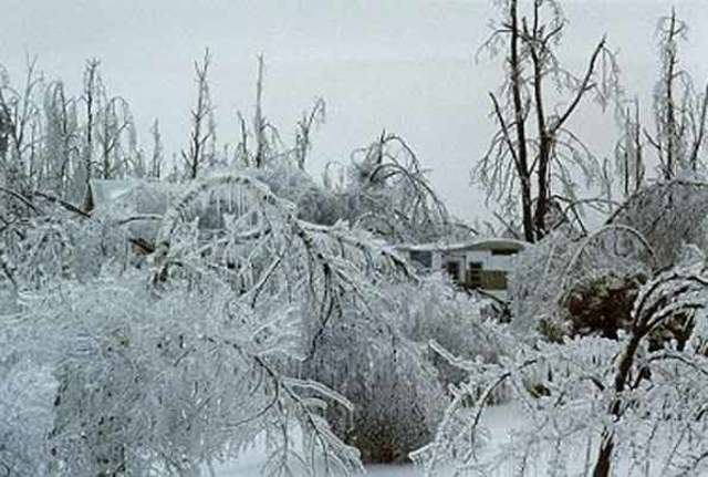 Ice Storm