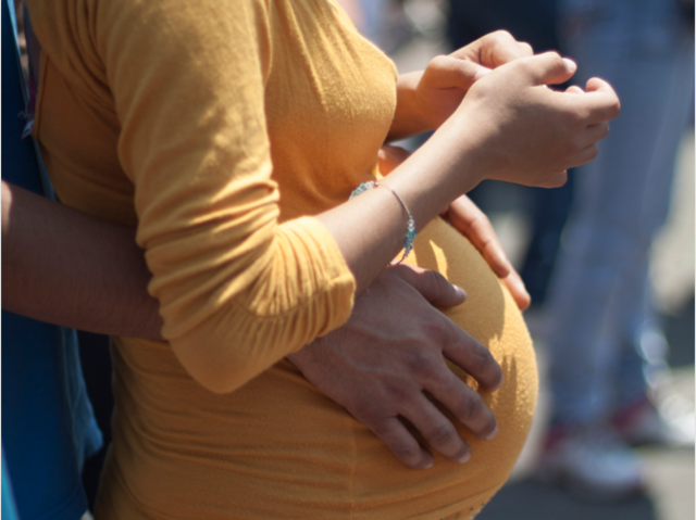 Declaracion de los derechos sociales