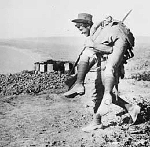 9 hour truce at gallipoli