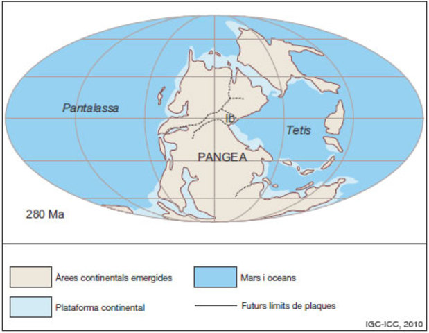 Primera Pangea