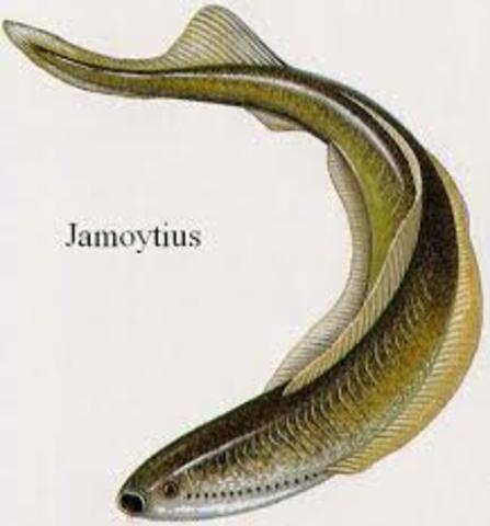 Primeros Peces sin Mandibula