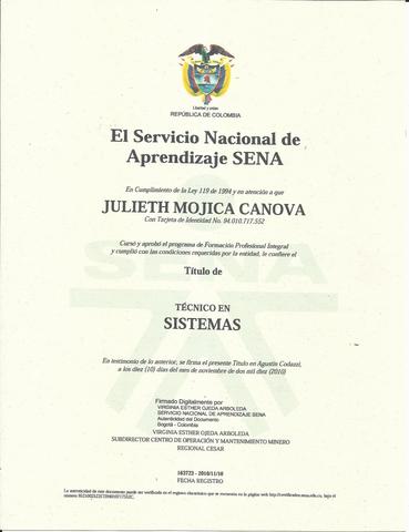 Técnico en sistemas