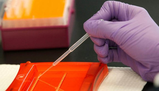 El Instituto para la Investigación Genética se dio a conocer públicamente.