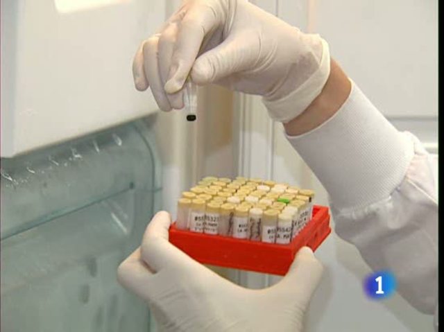 Primer borrador genoma del humano