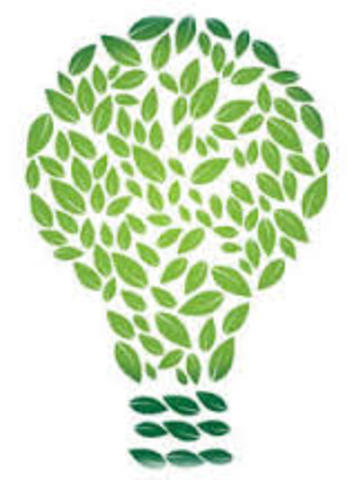 Novo “El medio comienza a ser denominado “medio ambiente”