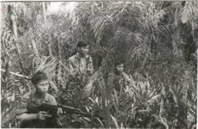 Ambush Vietcong