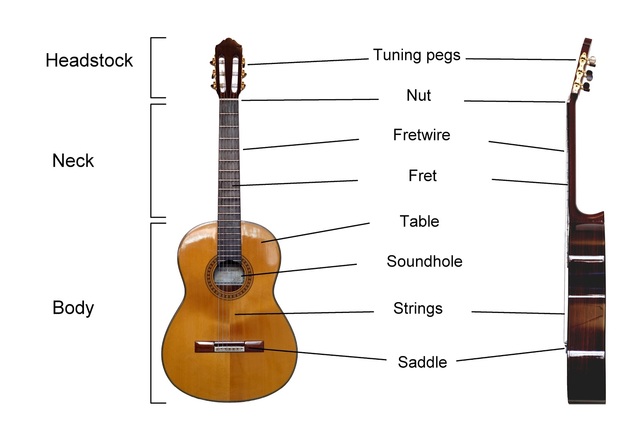 Characteristics of the first guitar