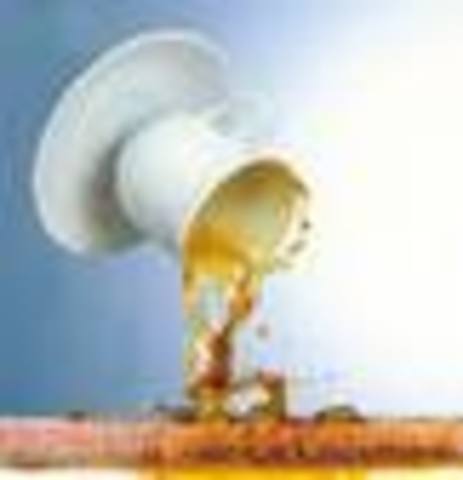 rising action- the tea and the insult