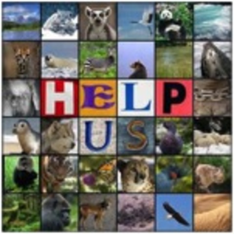 Endangered Species Act (1973)