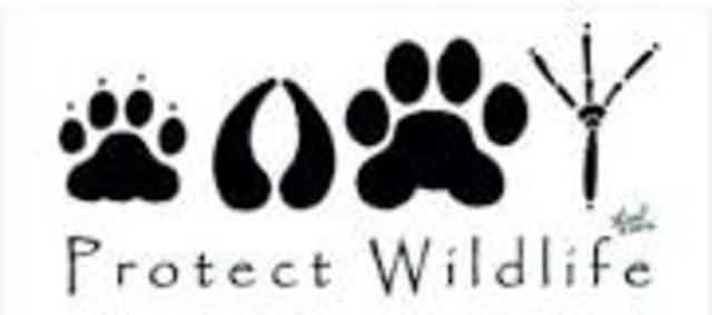 Fish and Wildlife Conservation Act